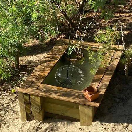 Dağ evi Dans Les Pins Carcans