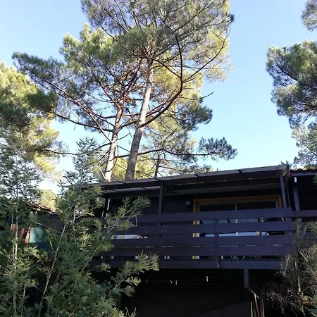 Chalet Dans Les Pins Carcans