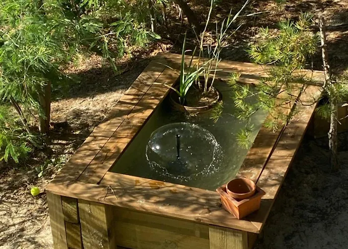 샬레 Dans Les Pins 카르캉